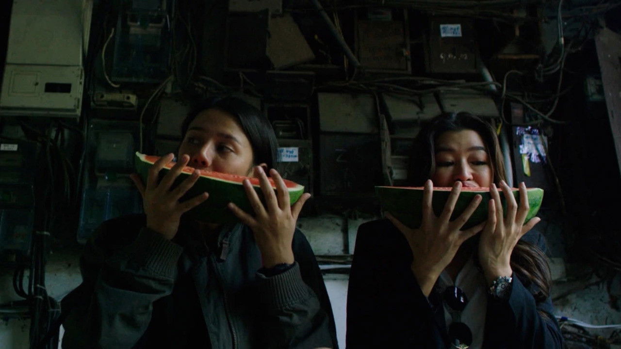 Backdrop for What Happened to the Wolf?