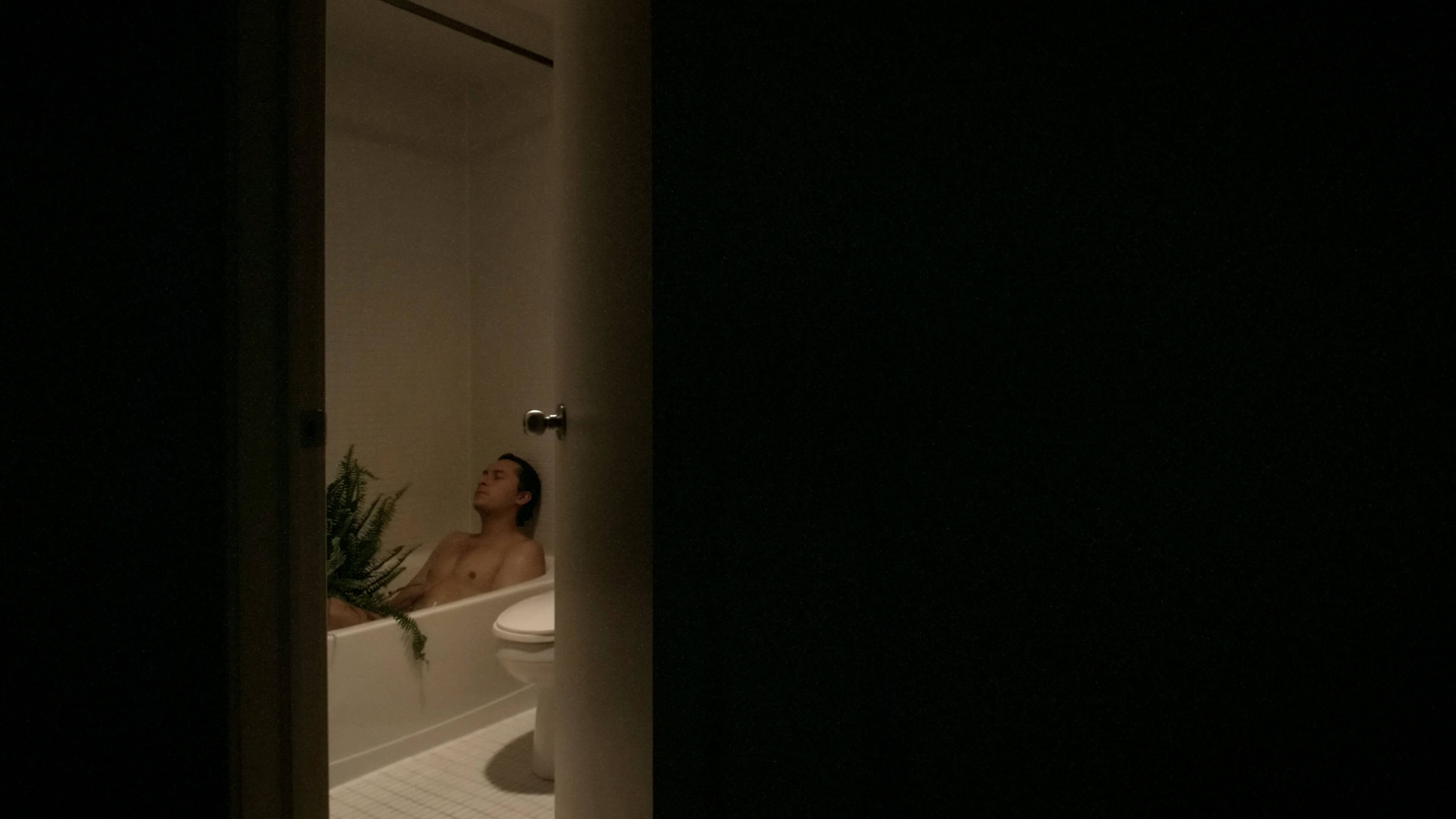 Backdrop for Very Nice Day