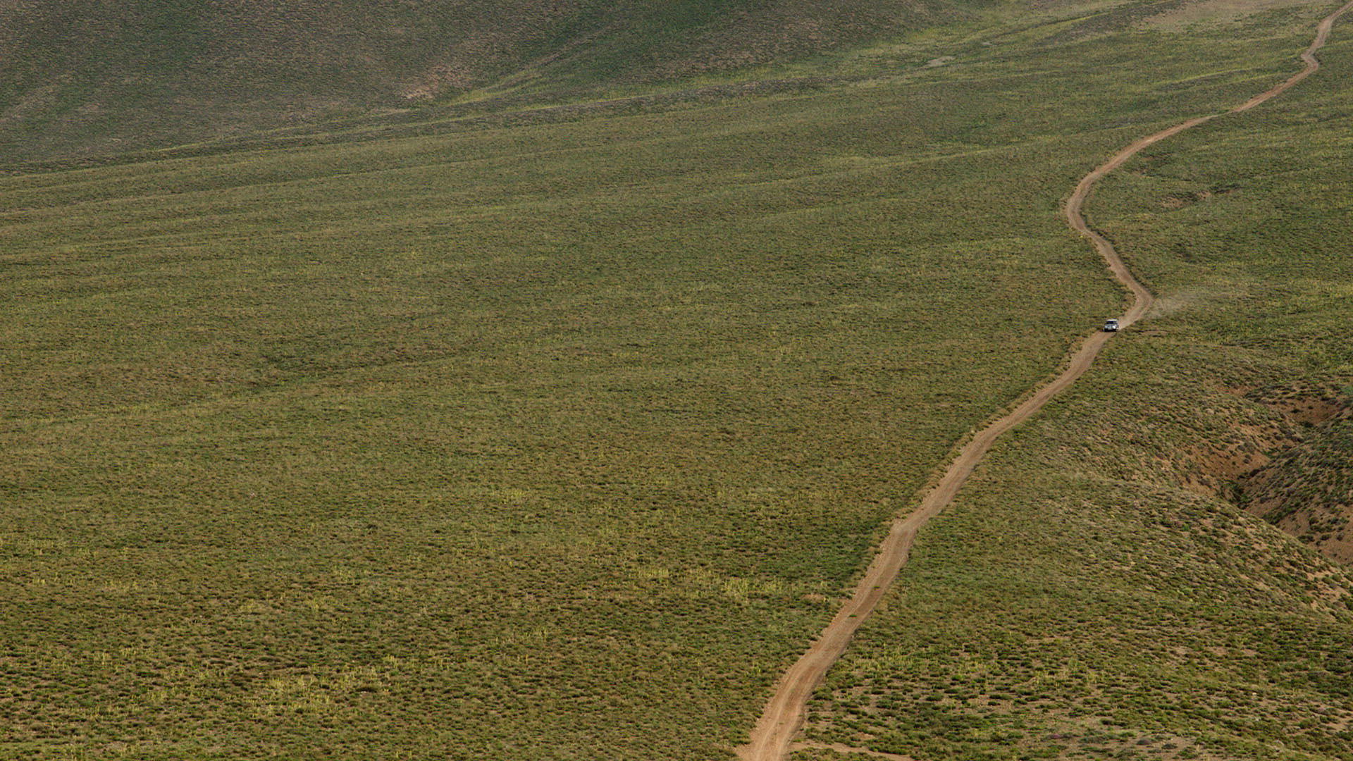 Backdrop for Without Permission