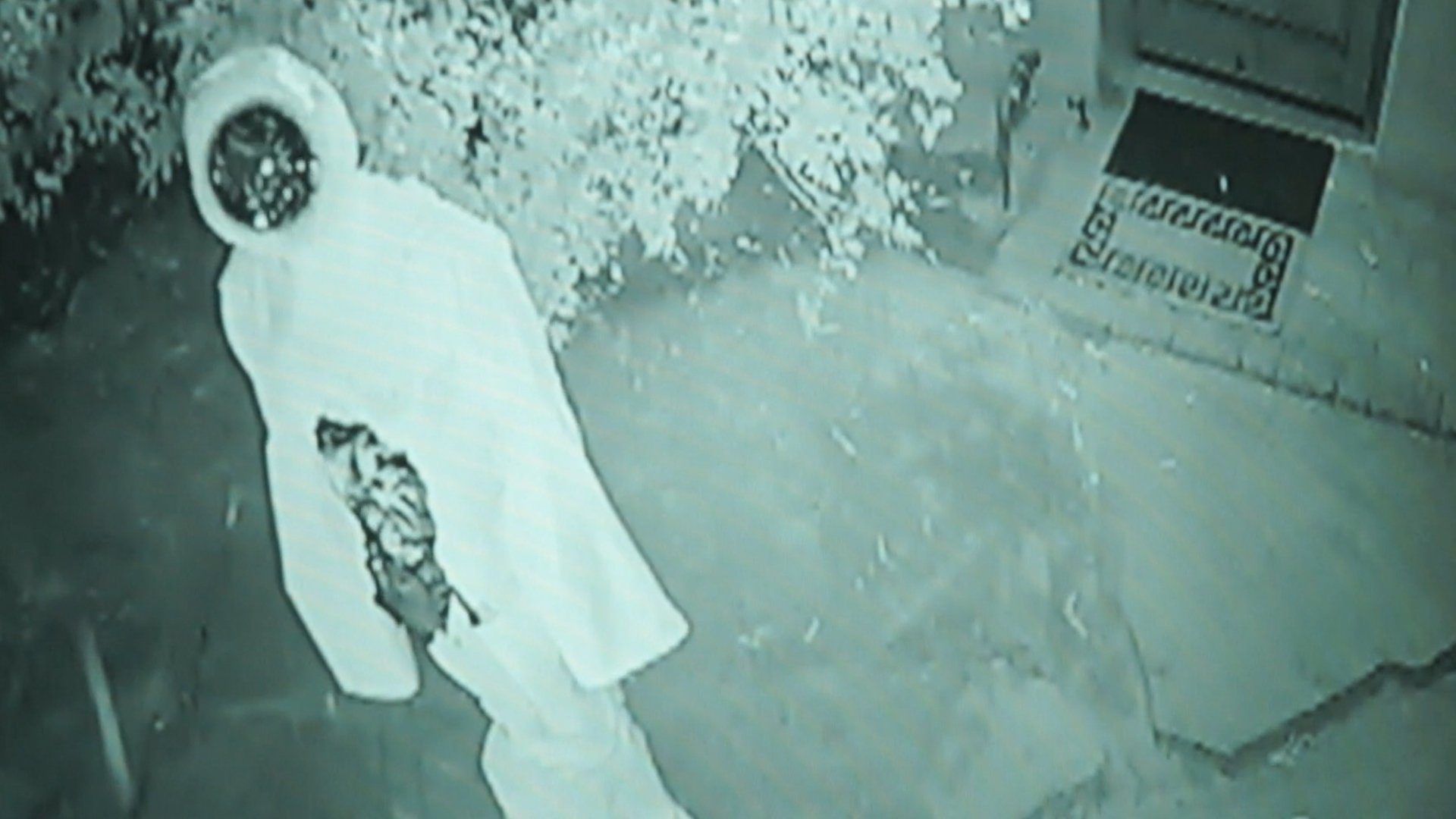 Backdrop for Lensface