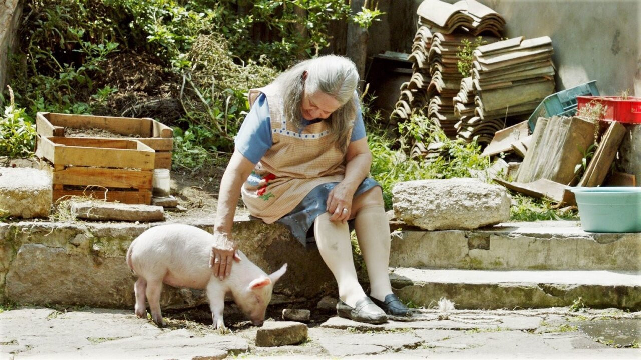 Backdrop for Esmeralda’s Twilight