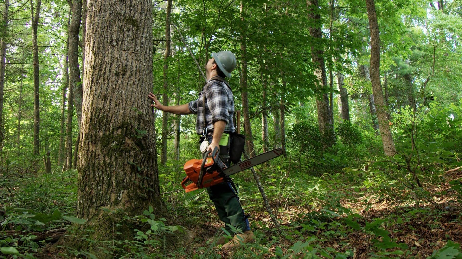 Backdrop for Leap of Faith