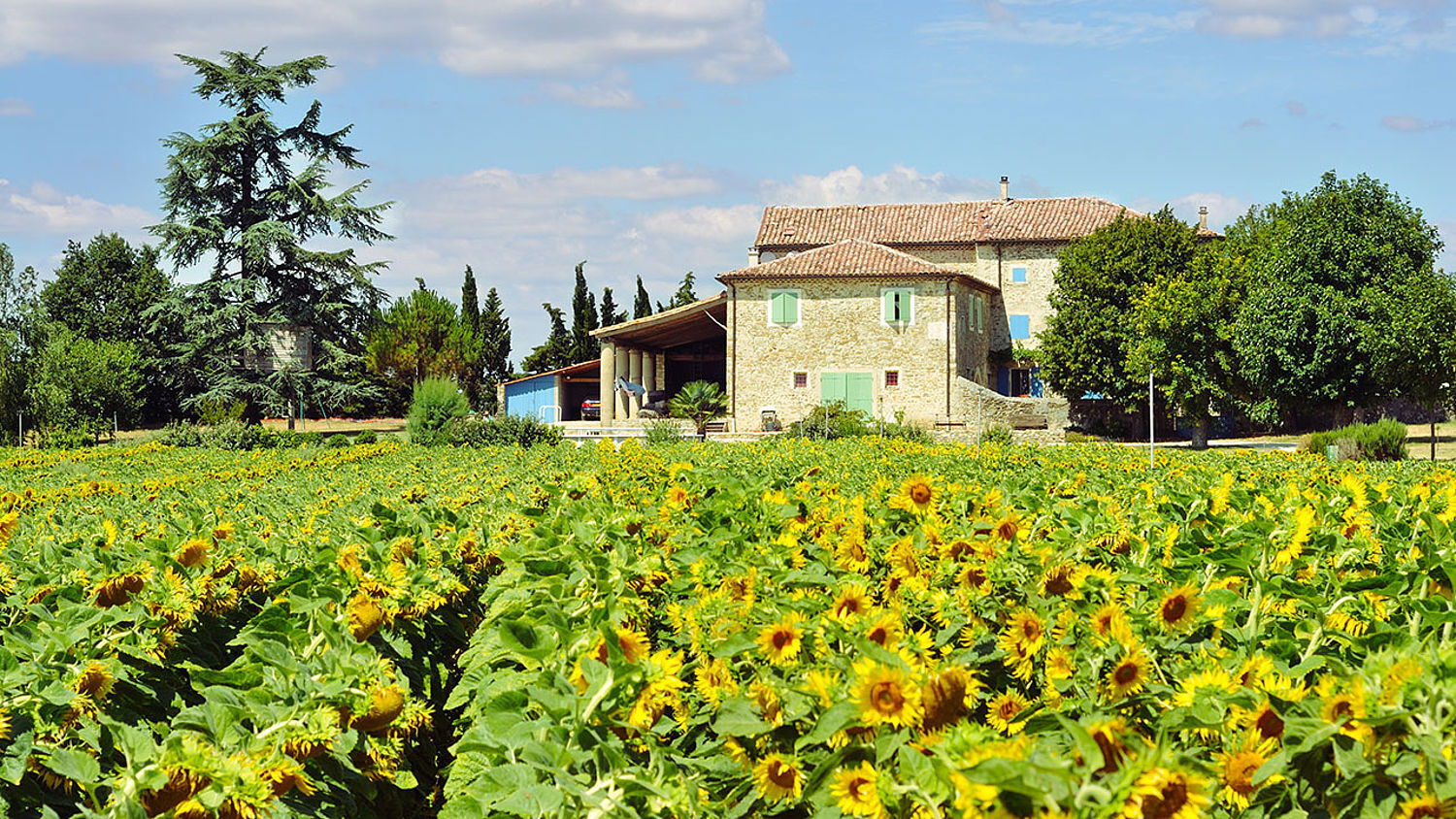 Backdrop for Ik Vertrek XL