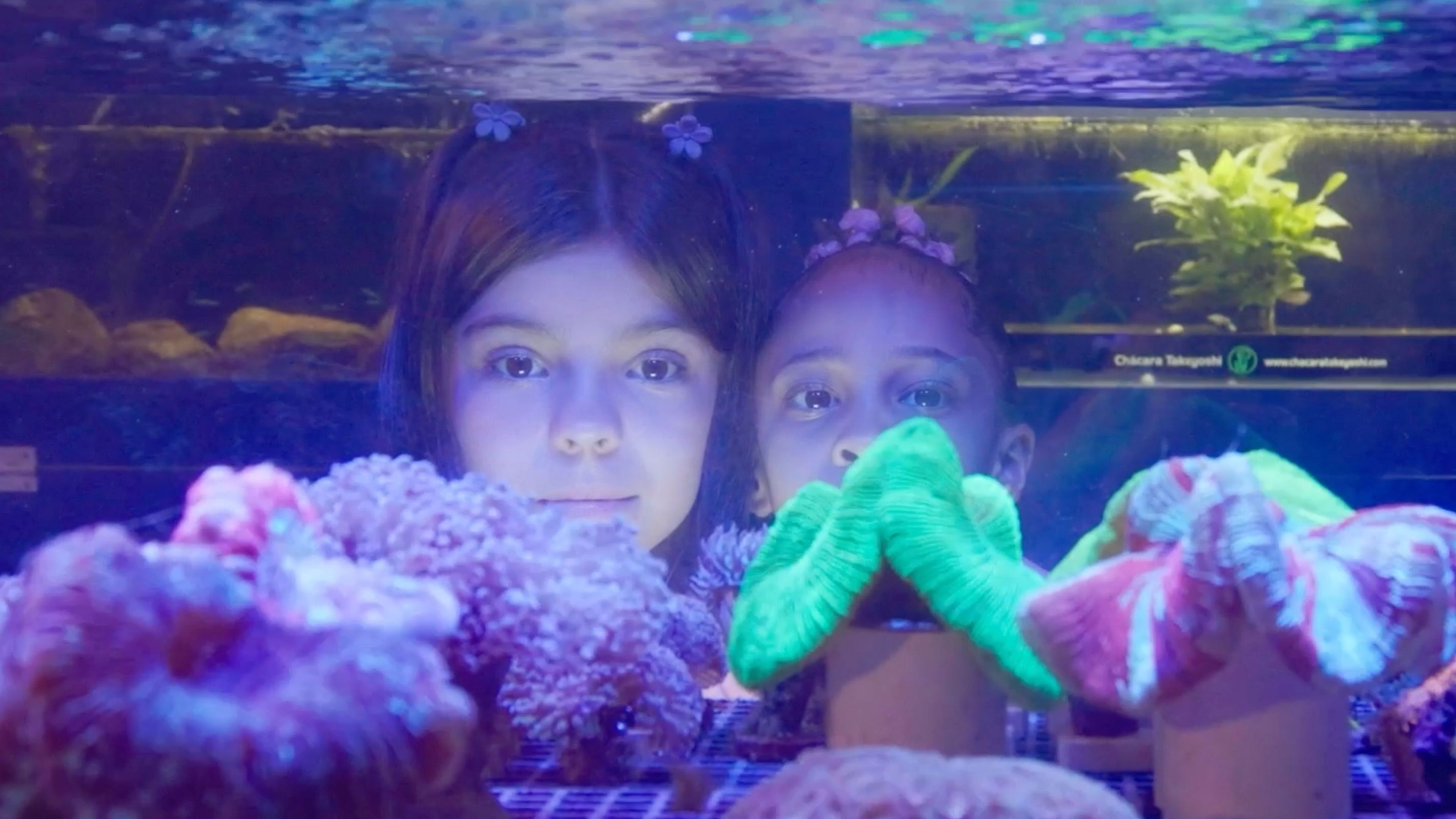 Backdrop for Aquário