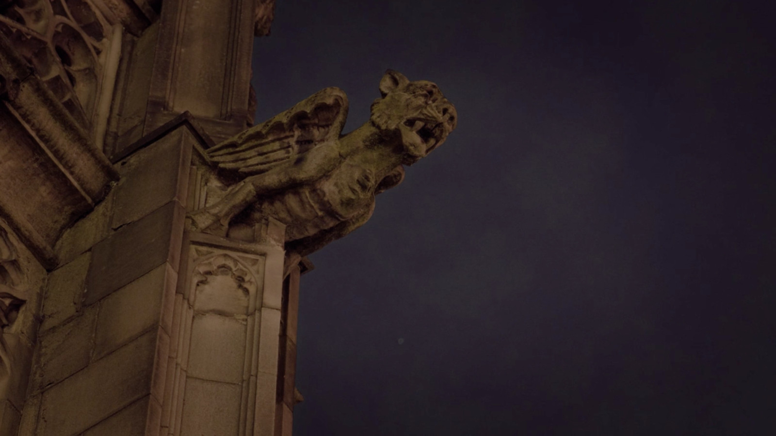 Backdrop for Nobody Loves You and You Don't Deserve to Exist