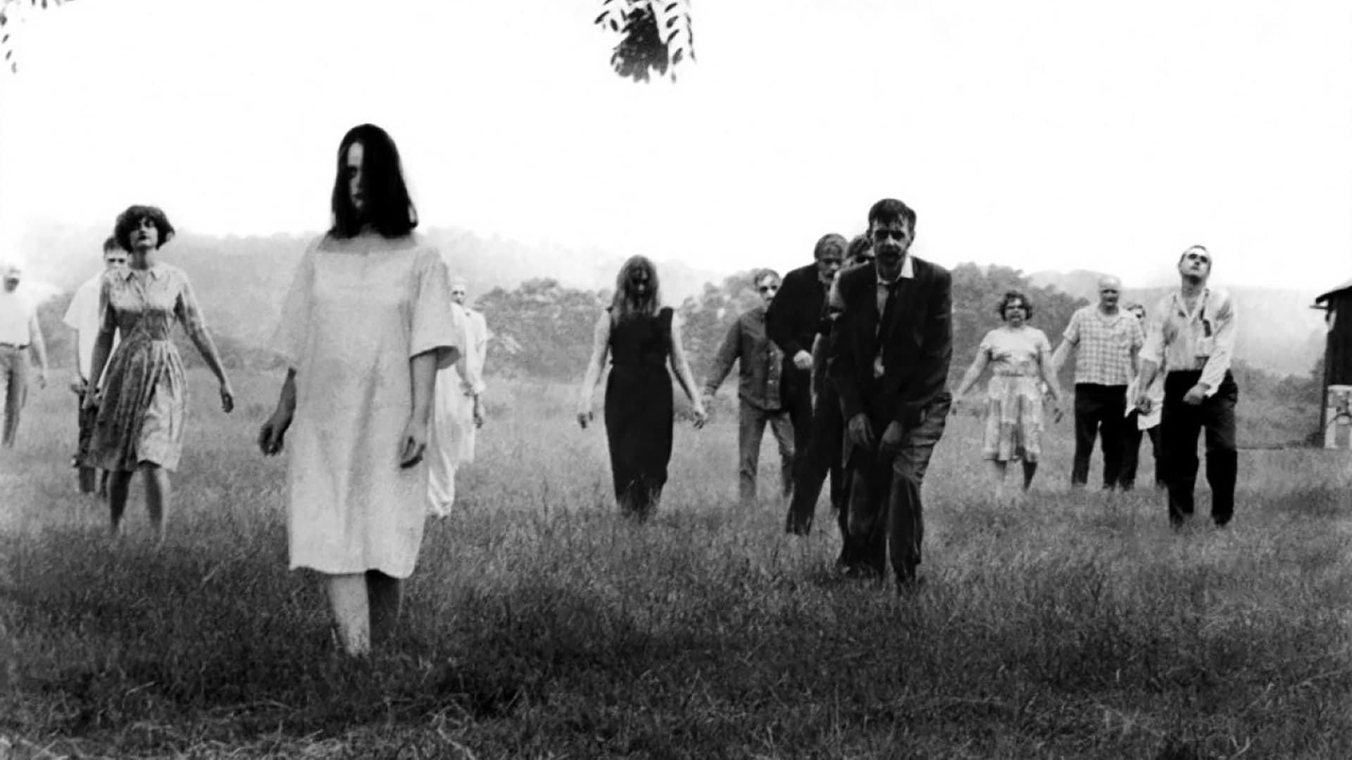 Backdrop for Elvira’s Movie Macabre: Night Of The Living Dead
