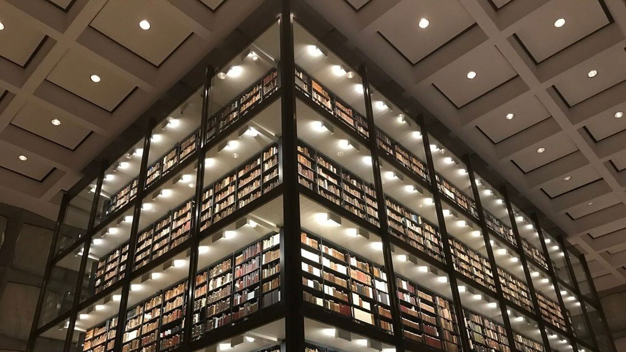 Backdrop for Palladio: The Power Of Architecture