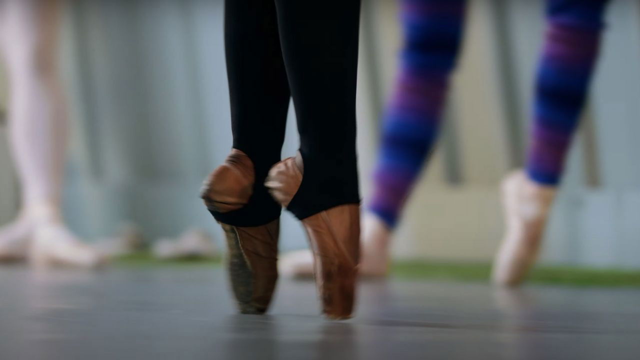 Backdrop for Echelon