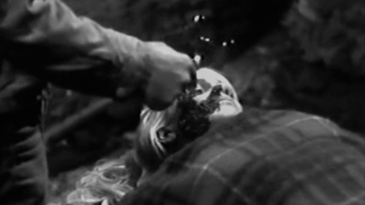 Backdrop for Sadistic Hallucinations