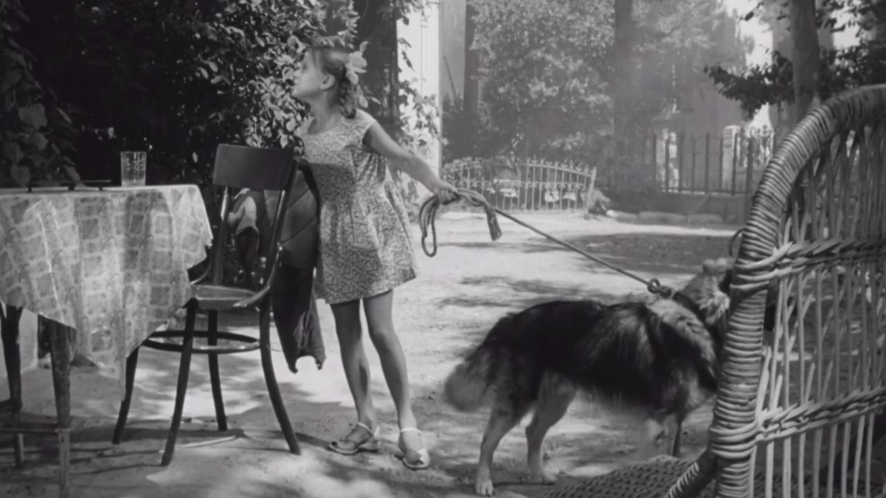 Backdrop for Trainers