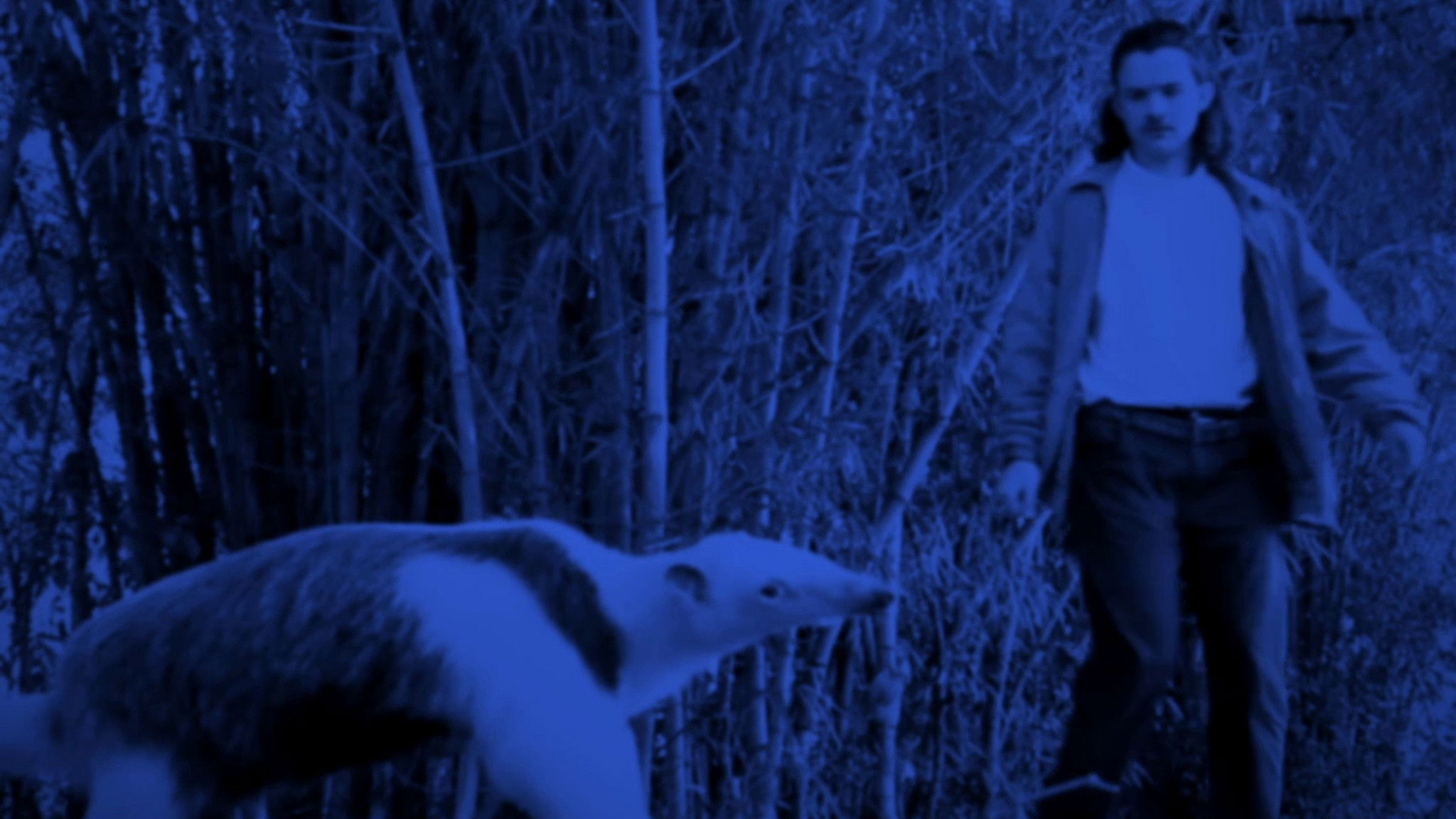 Backdrop for The Longest Night