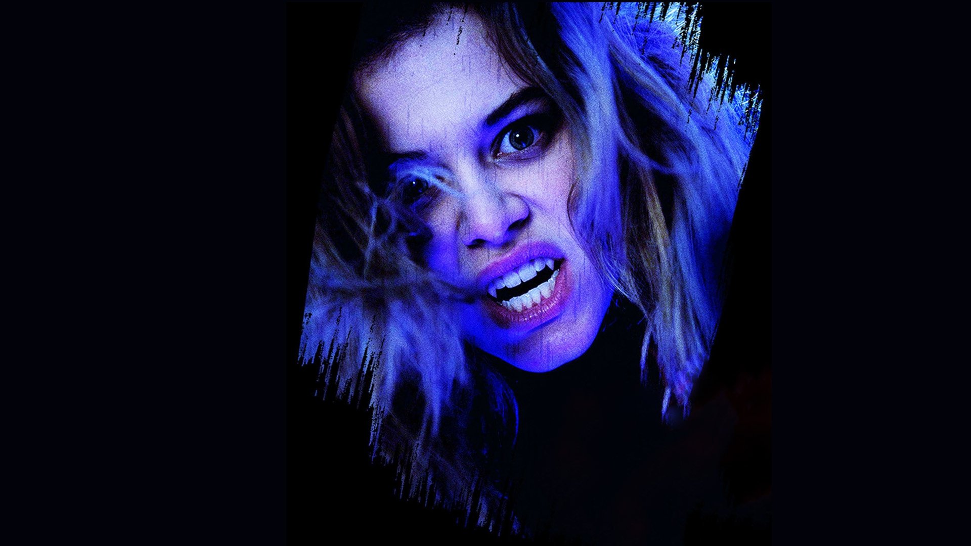 Backdrop for Forever 16