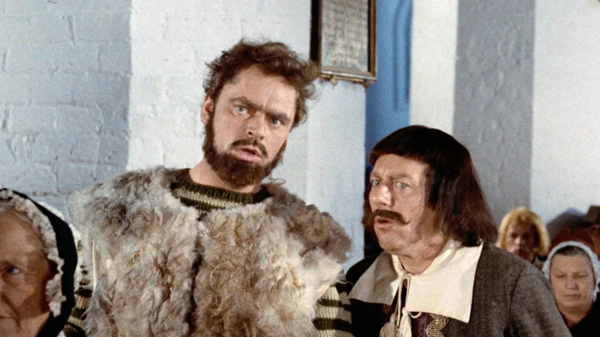 Backdrop for The Musketeers