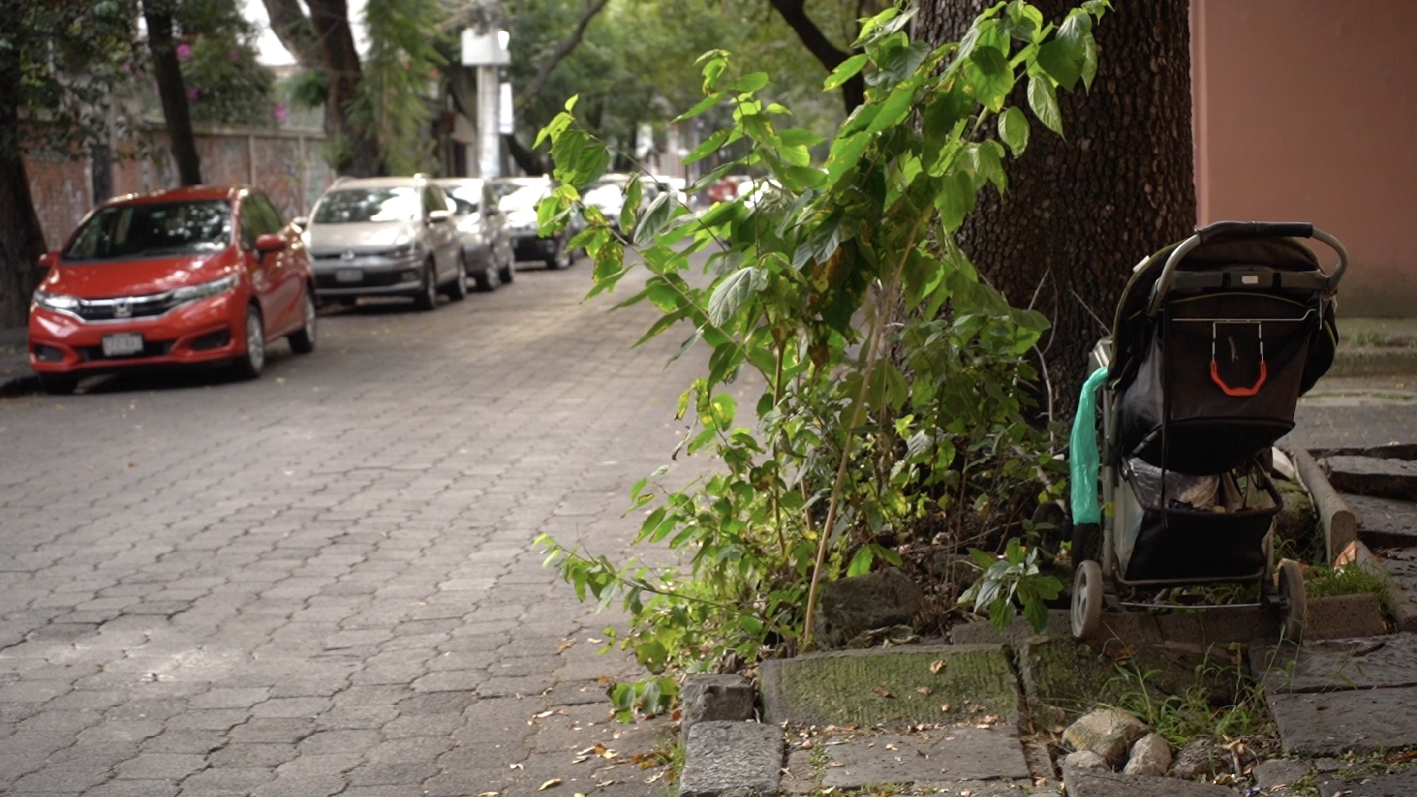 Backdrop for Uróboro