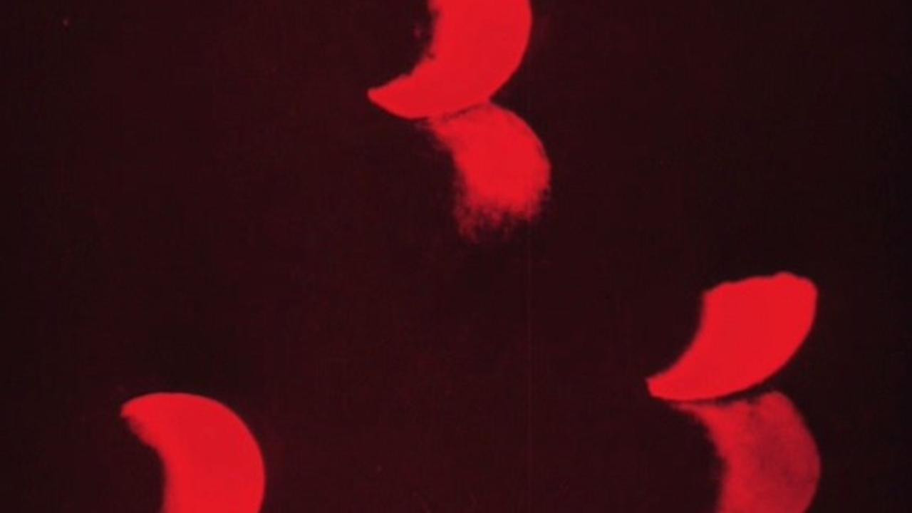 Backdrop for Lichtspiel: Opus I