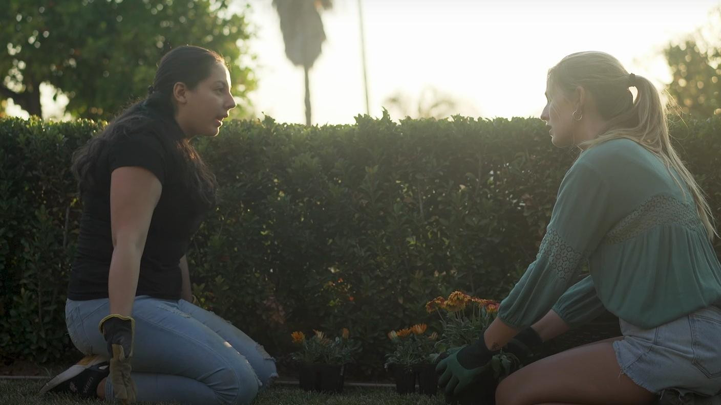 Backdrop for Poisoned Glass