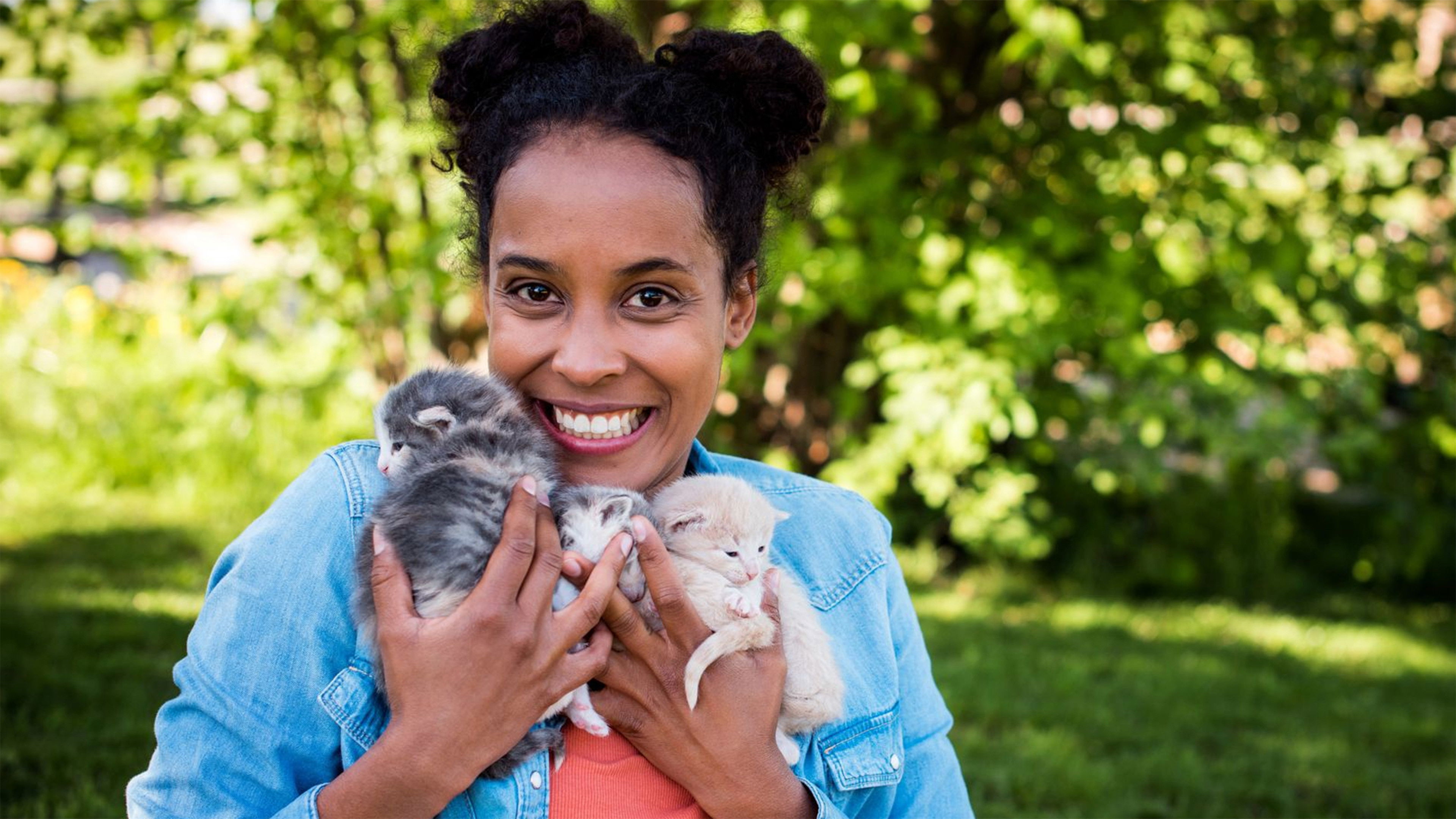 Backdrop for Pia und die Haustiere