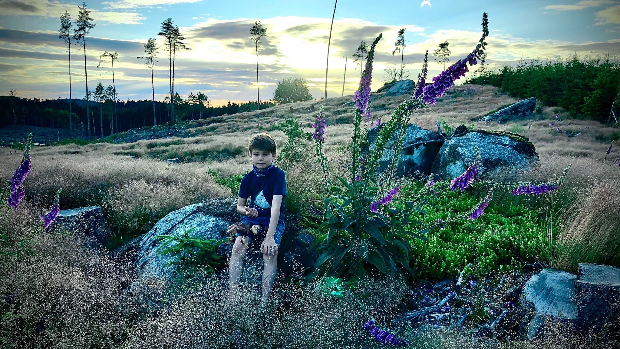 Backdrop for Sleeping City