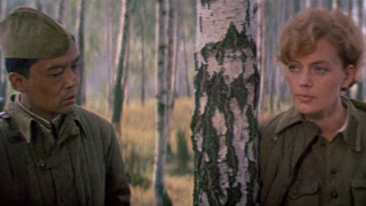 Backdrop for A Secret Walk in the Woods