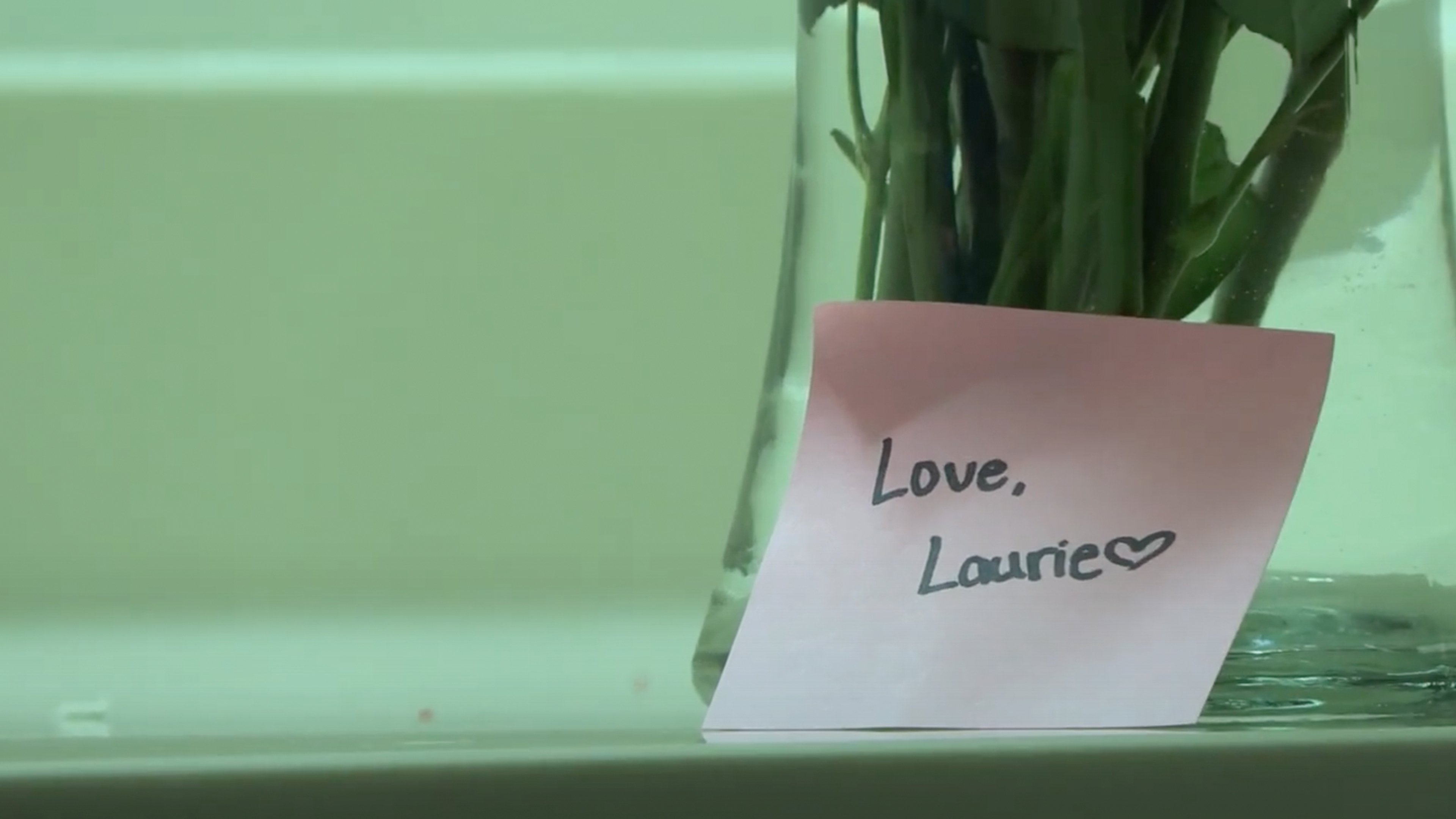 Backdrop for Honey, I'm Home