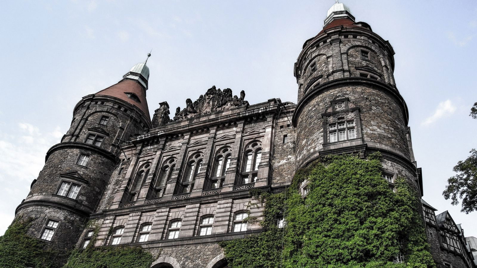 Backdrop for Daisy. Wspomnienie minionego świata