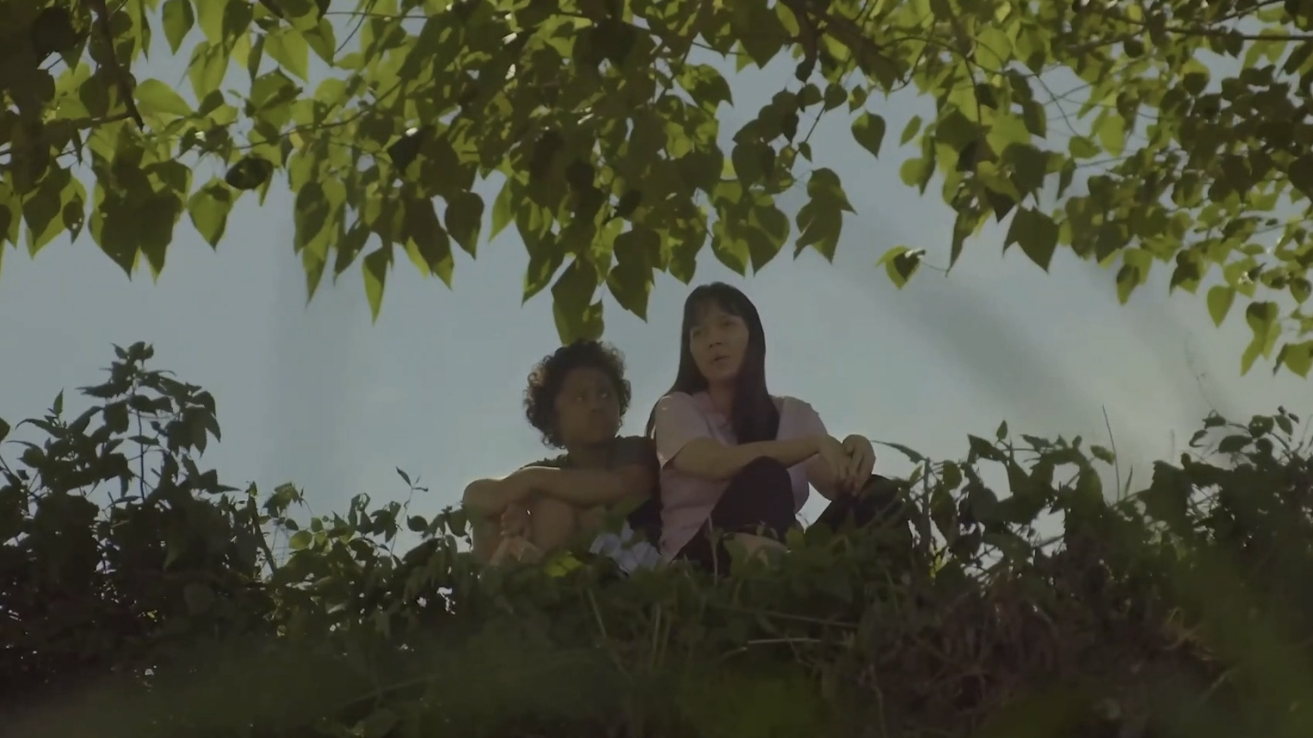 Backdrop for Sol Searching