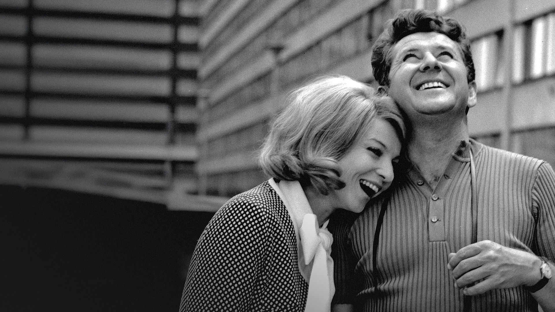 Backdrop for Affairs of my Wife