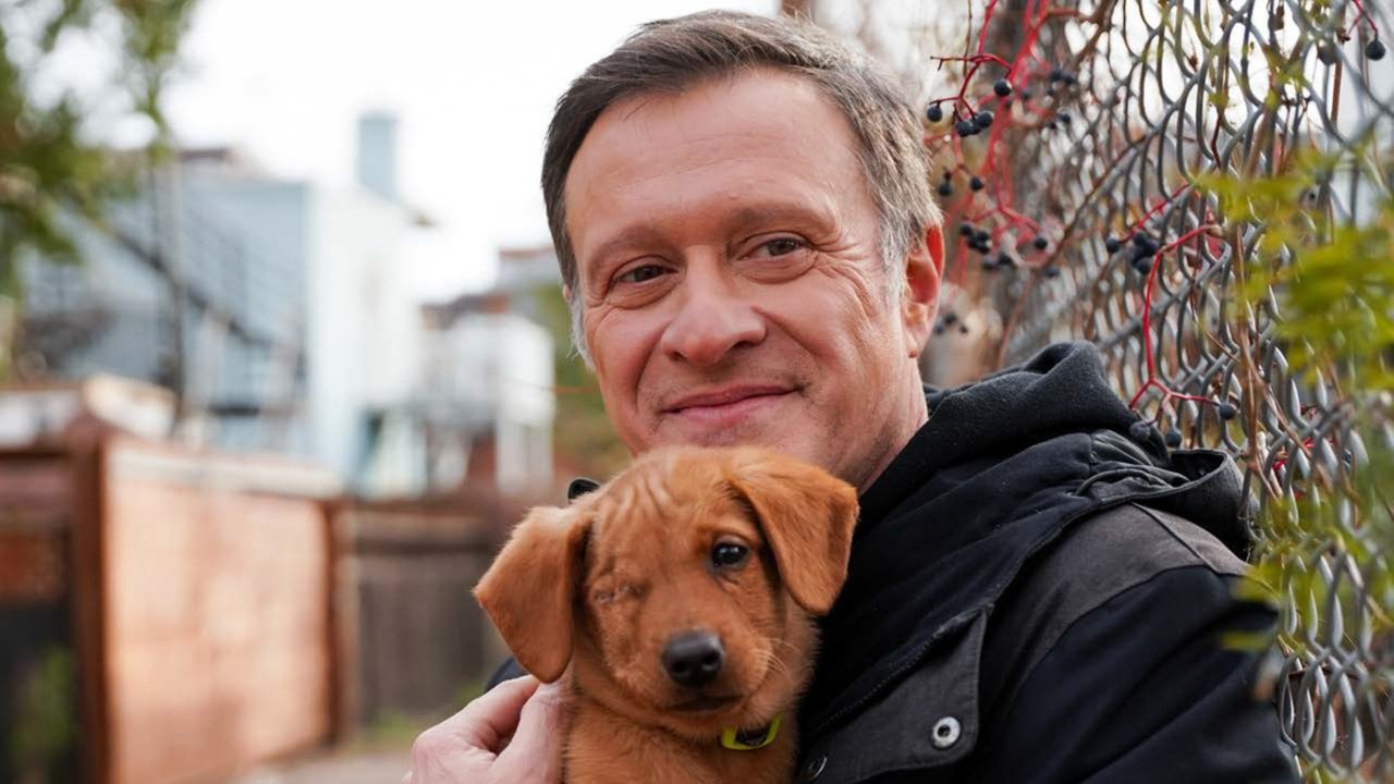 Backdrop for Refuge animal : Mission Aristopattes