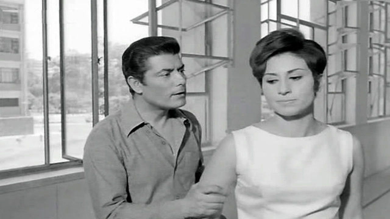 Backdrop for College Girls