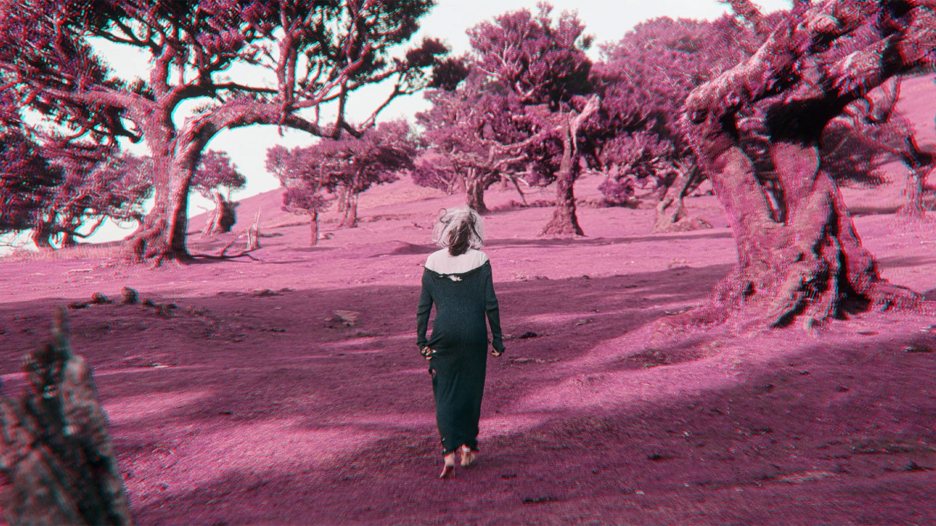 Backdrop for CREATURE