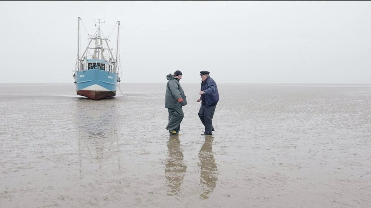 Backdrop for Flow and Ebb