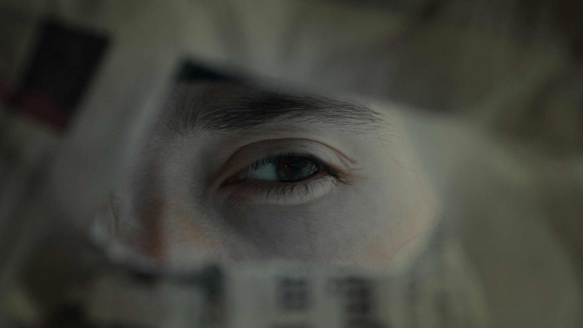 Backdrop for CINEXIN