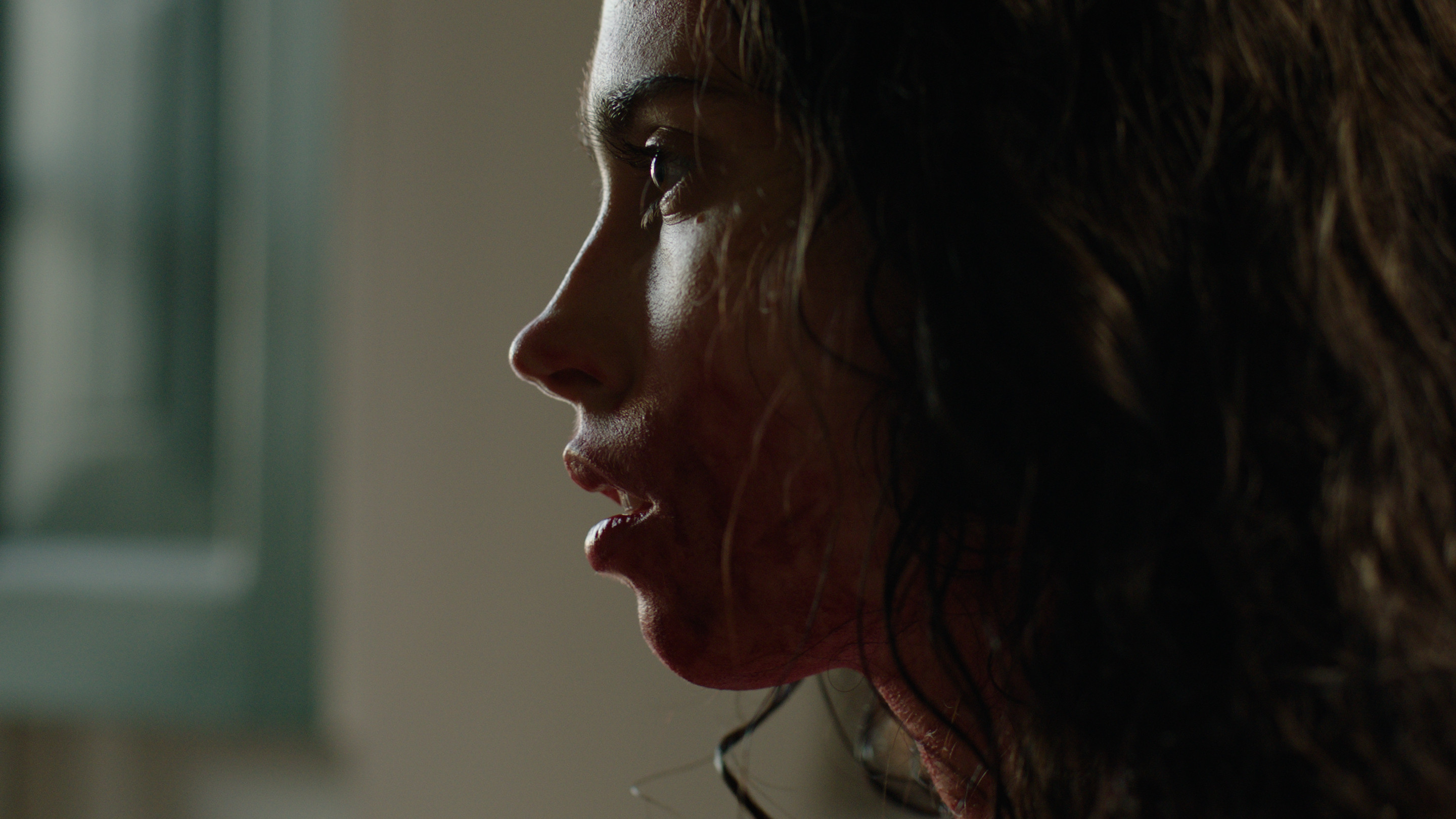 Backdrop for Continent