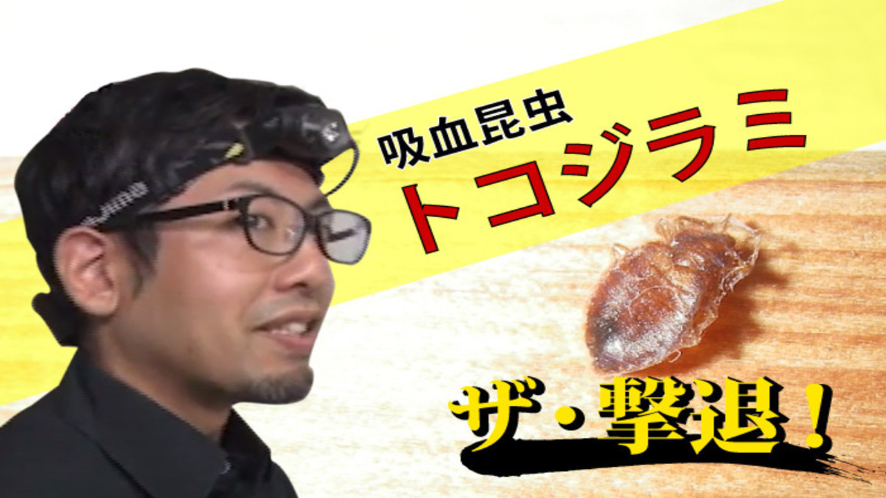 Backdrop for ザ・撃退!