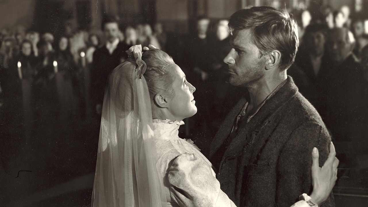 Backdrop for The Swamp Wader