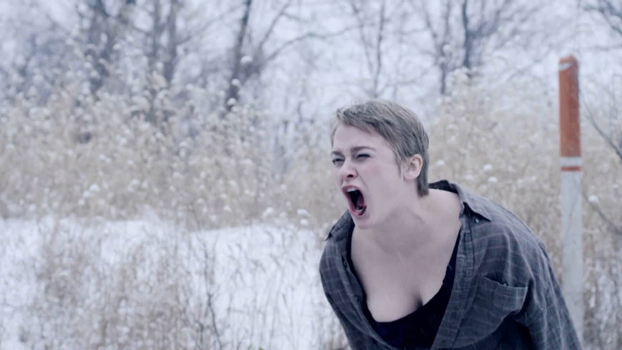 Backdrop for Huckleberry