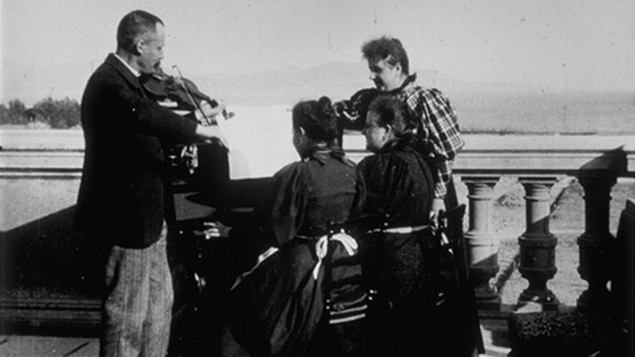 Backdrop for Concert