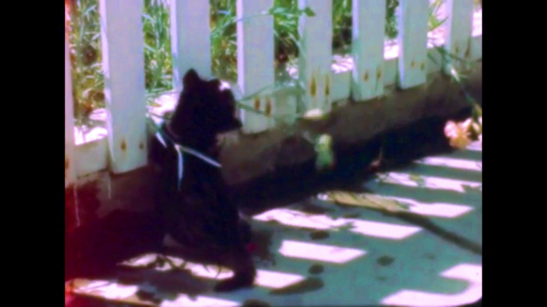 Backdrop for Signals - Timothy Connon and the Pier