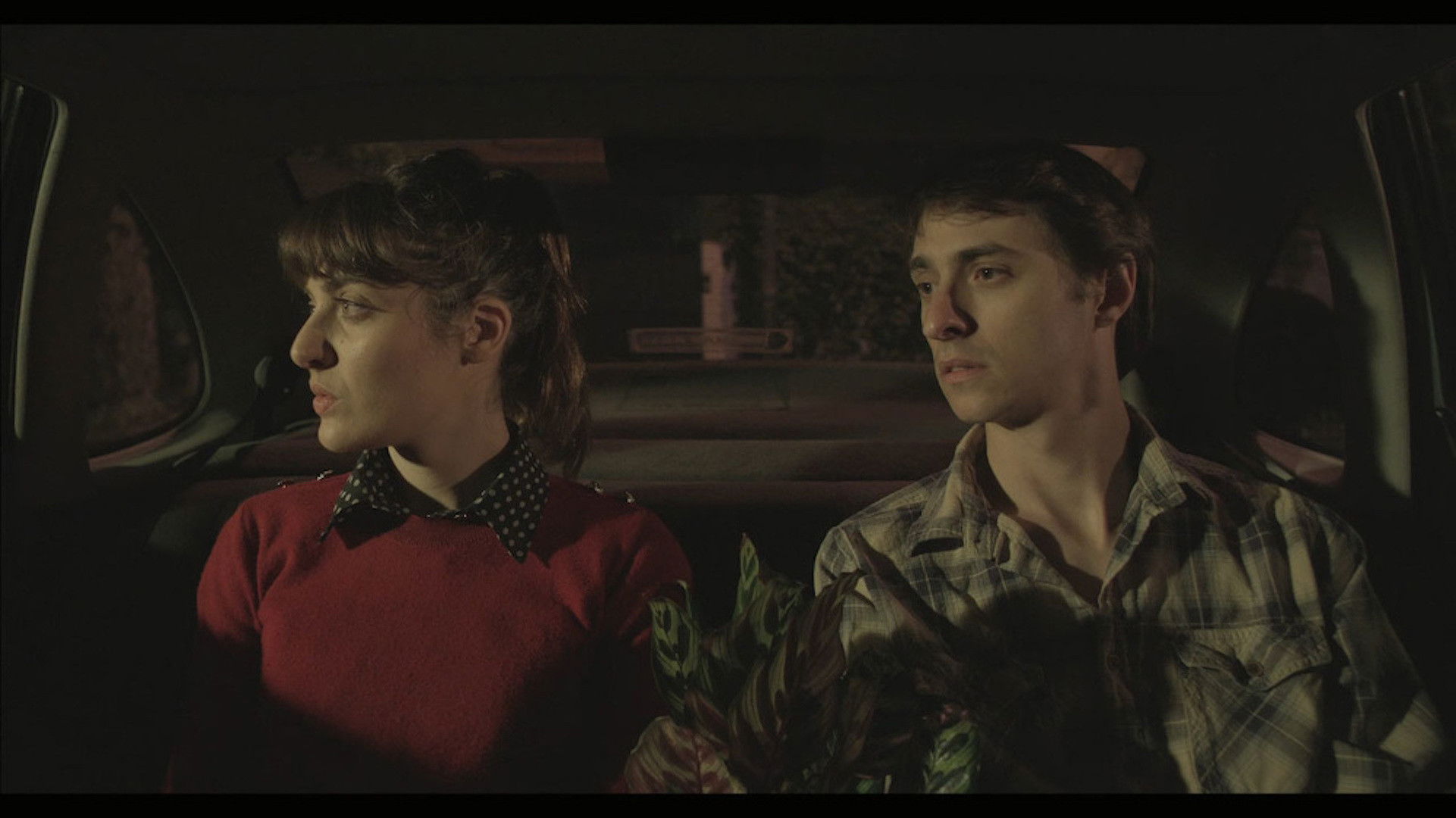 Backdrop for Una idea de la vida cotidiana