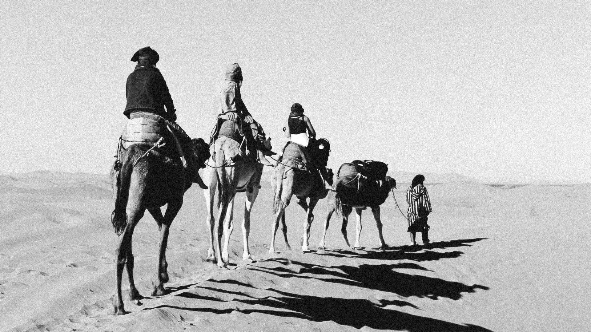 Backdrop for Guns of Freedom