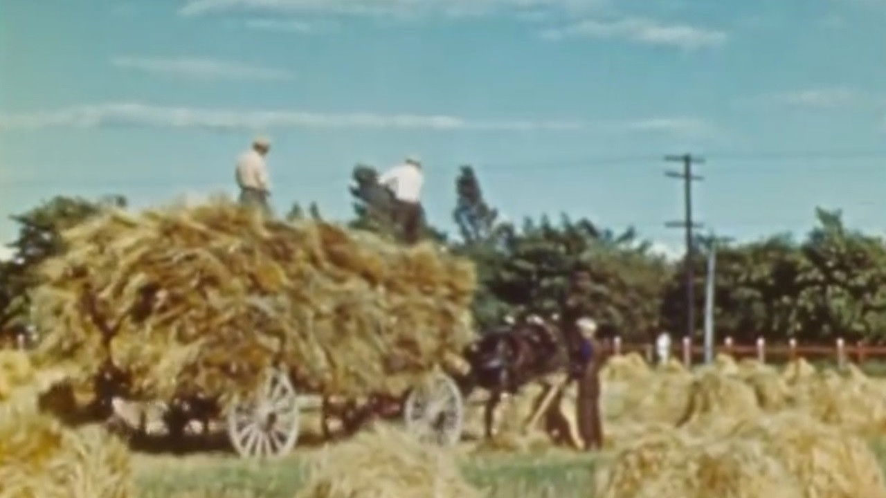 Backdrop for The Percheron