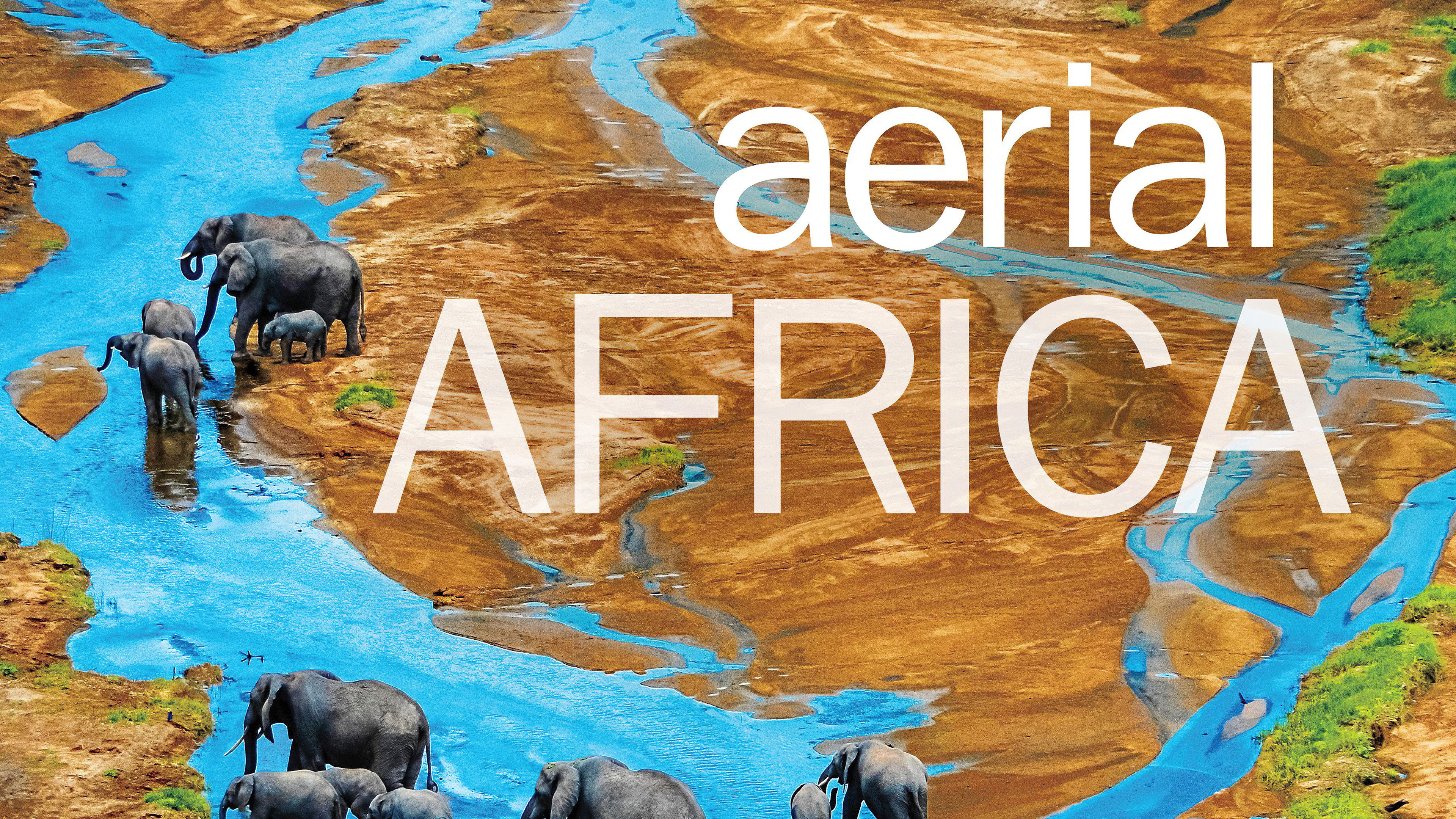 Backdrop for Aerial Africa