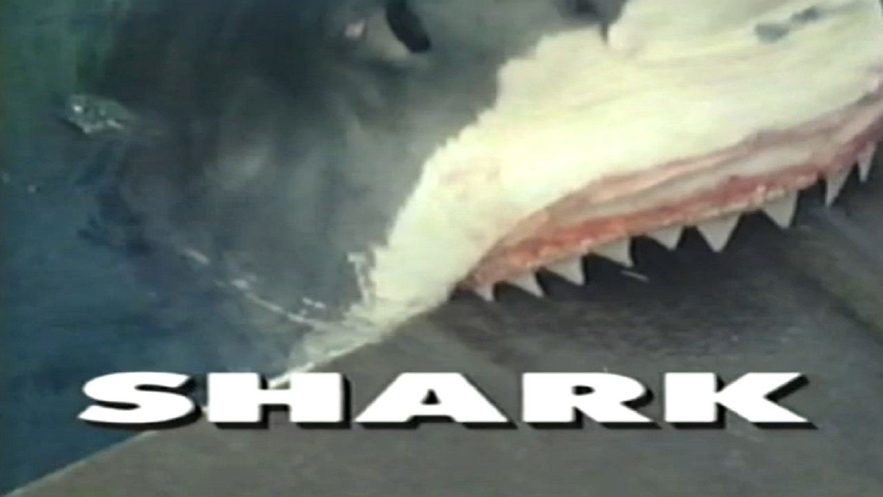 Backdrop for Predators of the Wild: Shark