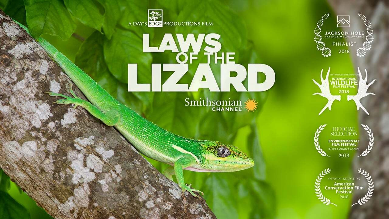 Backdrop for Laws of the Lizard