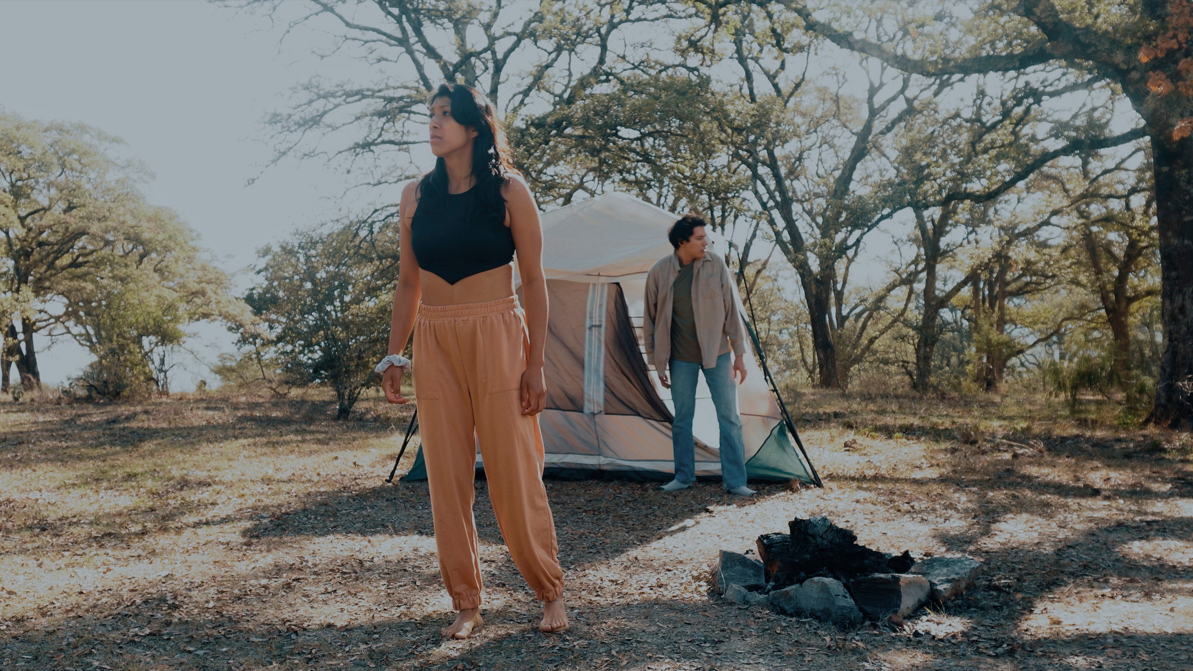 Backdrop for The Contact