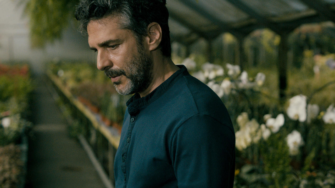 Backdrop for The Silence of the Sky