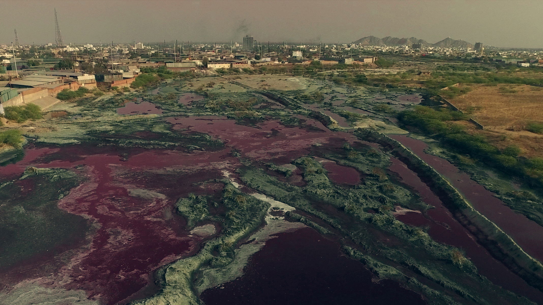 Backdrop for The Atlas of False Desires