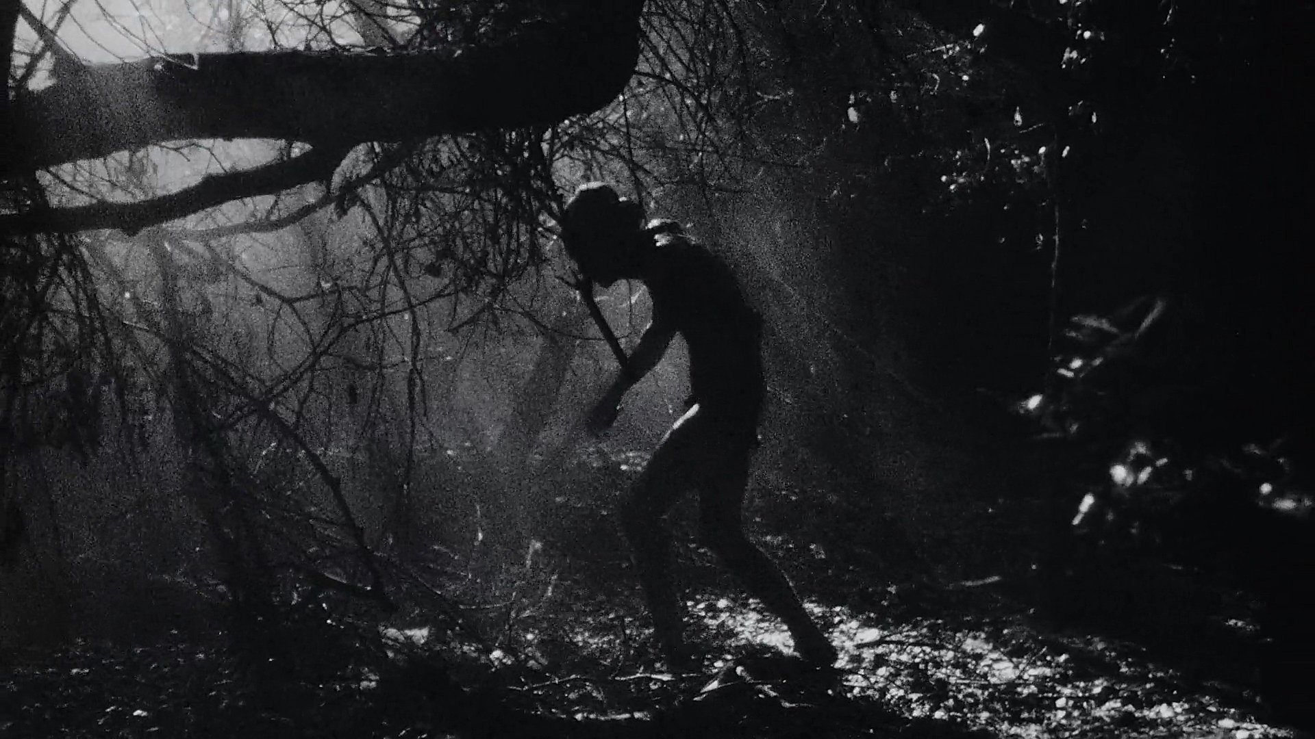 Backdrop for Fuckkkyouuu