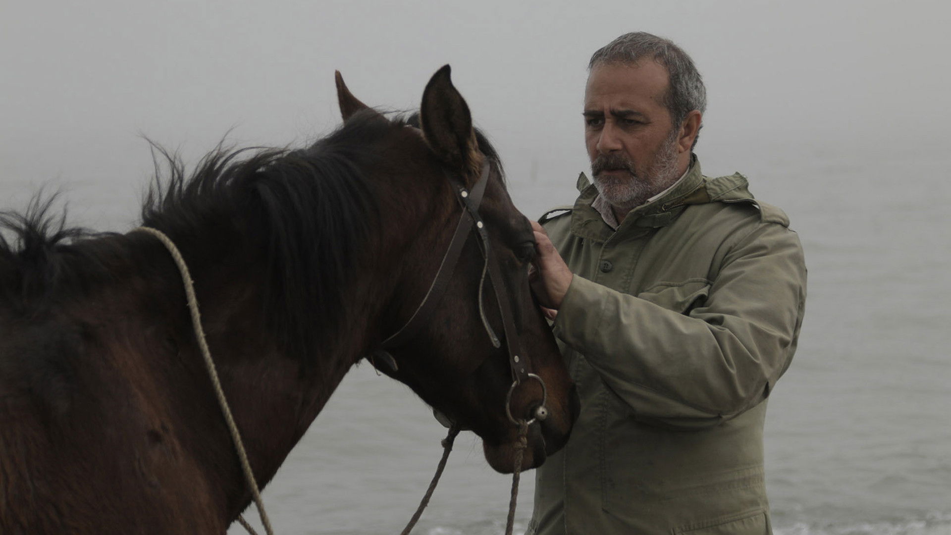 Backdrop for The Charcoal