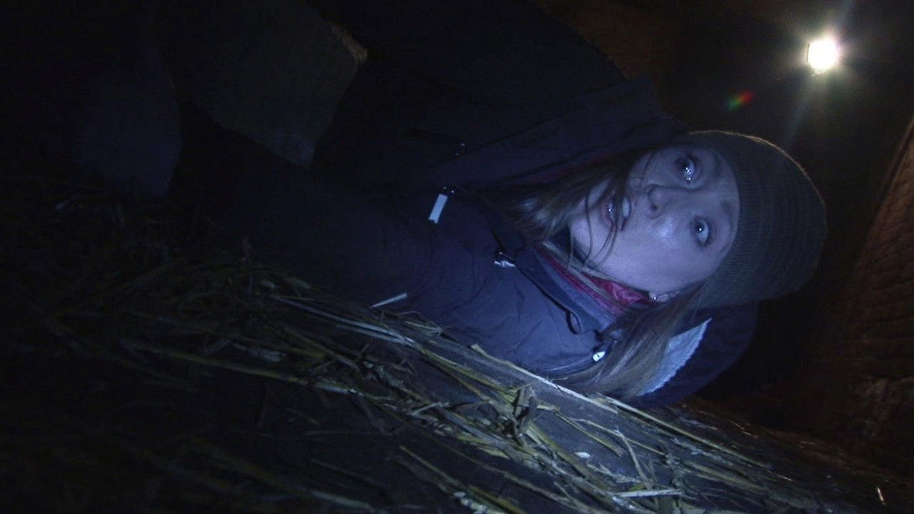 Backdrop for The Legend of the 5ive